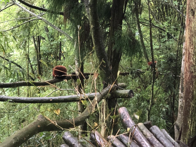 Chengdu