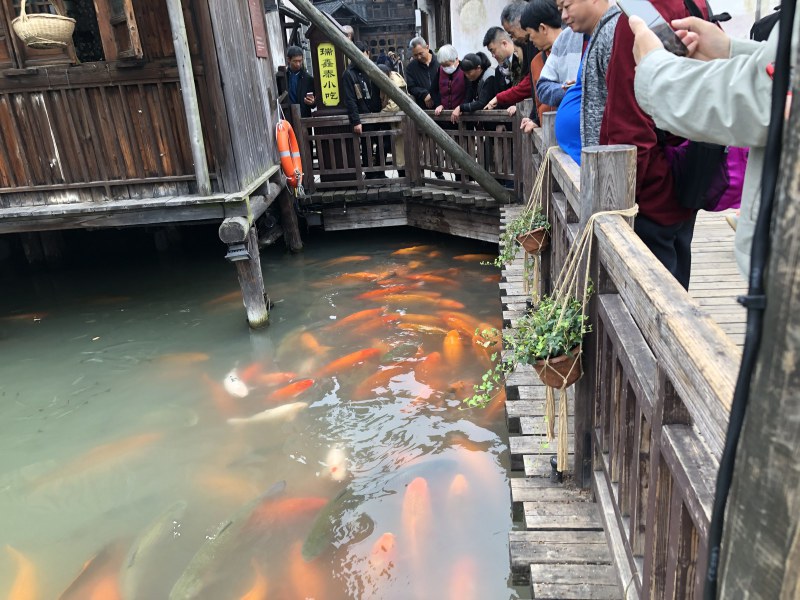 Wuzhen