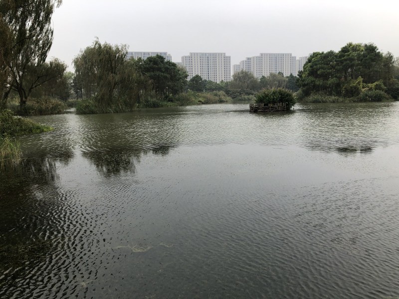 Wuzhen